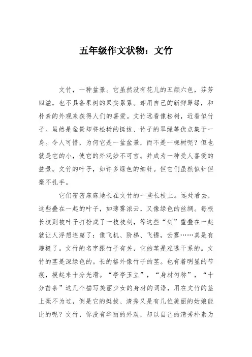 五年级作文状物：文竹