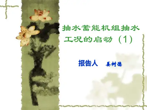 抽水蓄能机组抽水工况的启动SFC课件