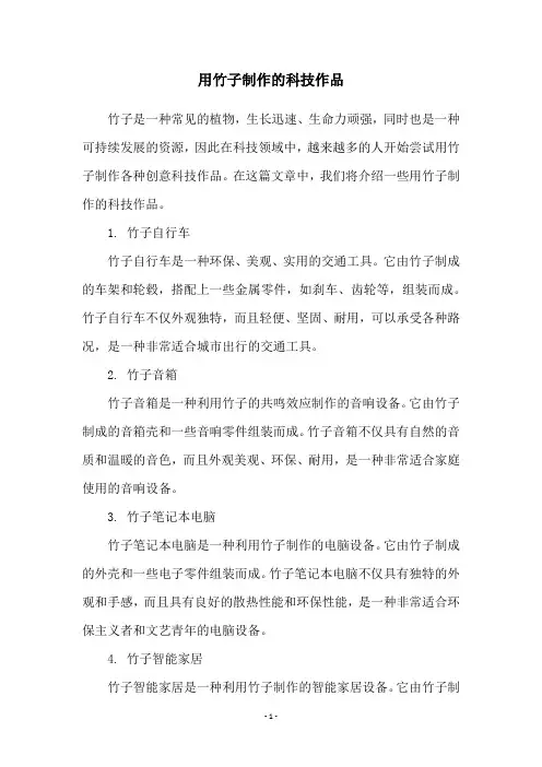 用竹子制作的科技作品