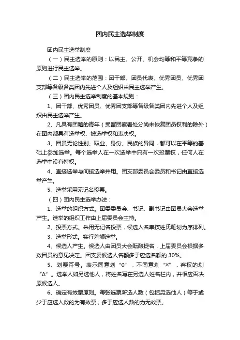 团内民主选举制度
