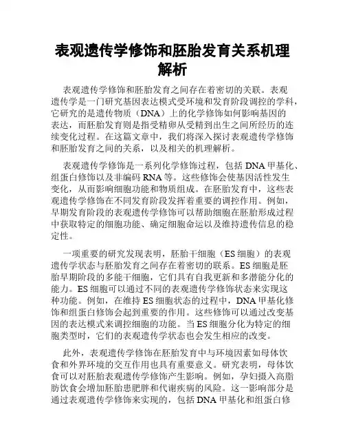表观遗传学修饰和胚胎发育关系机理解析