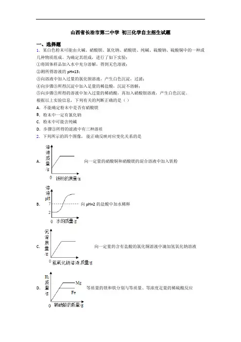 山西省长治市第二中学 初三化学自主招生试题