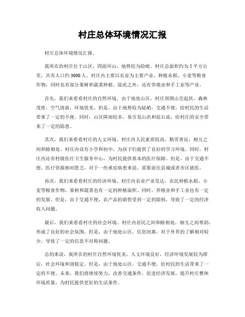 村庄总体环境情况汇报