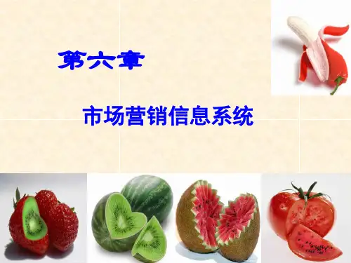市场营销信息系统(PPT 40页)