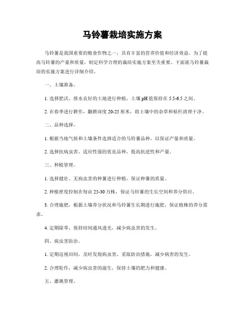 马铃薯栽培实施方案