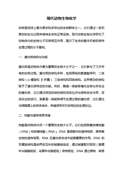 现代动物生物化学