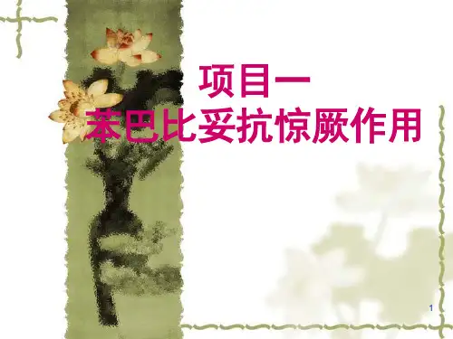苯巴比妥抗惊厥实验讲义