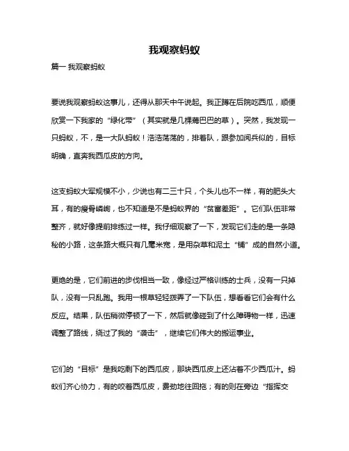 作文《我观察蚂蚁》