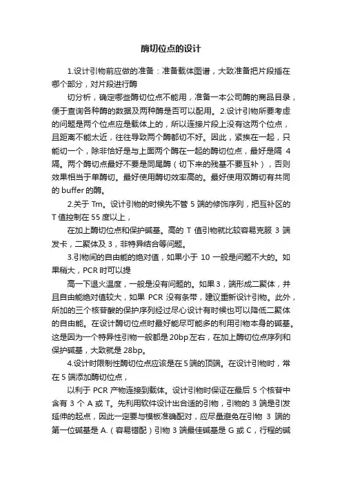 酶切位点的设计