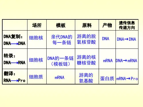基因表达与性状的关系(18张PPT)PPT下载