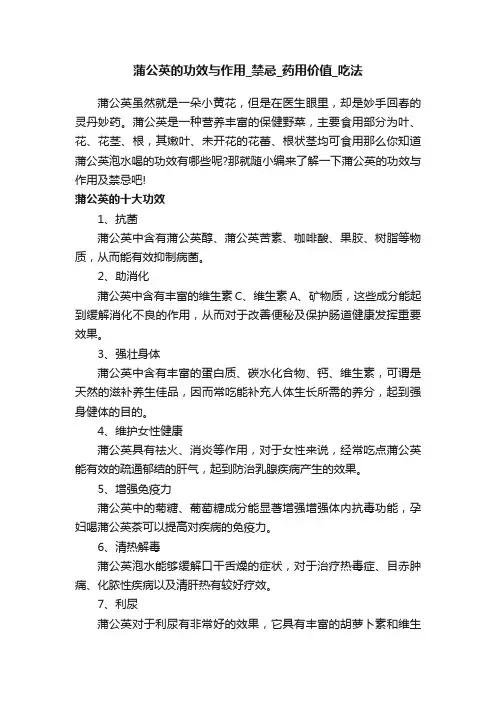 蒲公英的功效与作用_禁忌_药用价值_吃法