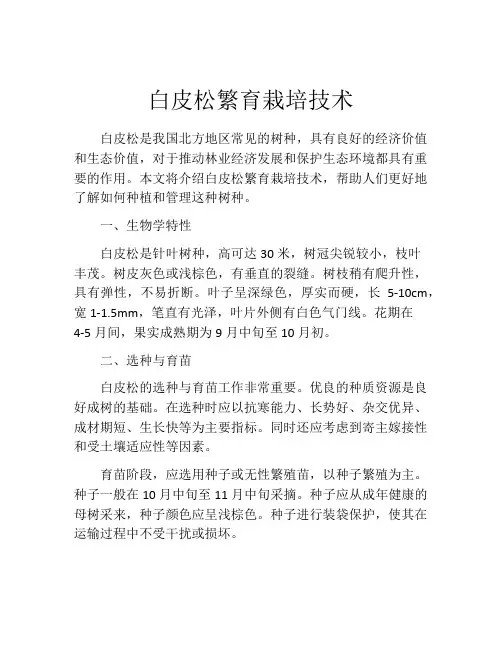 白皮松繁育栽培技术