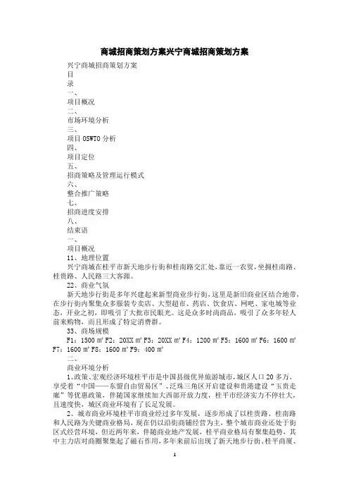 商城招商策划方案兴宁商城招商策划方案
