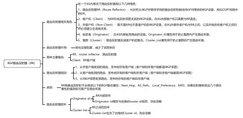 10BGP路由反射器(RR)