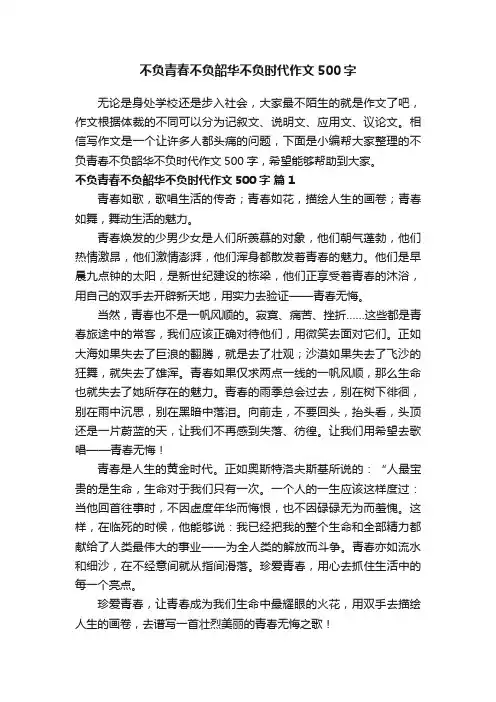 不负青春不负韶华不负时代作文500字（精选16篇）