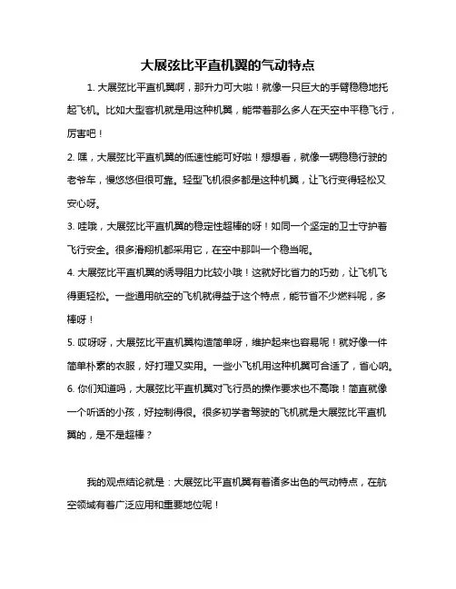 大展弦比平直机翼的气动特点