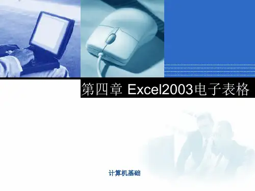 excel2003课件