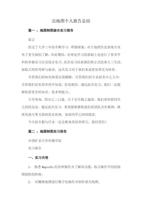 宗地图个人报告总结