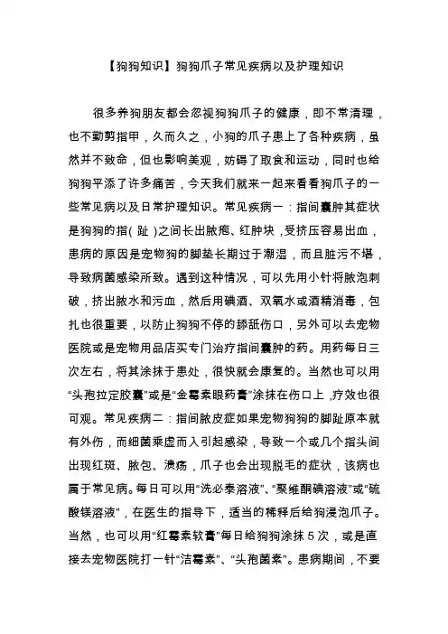 【狗狗知识】狗狗爪子常见疾病以及护理知识