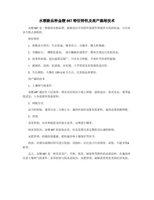 水稻新品种金粳667特征特性及高产栽培技术