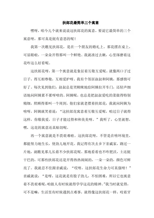扶郎花最简单三个寓意