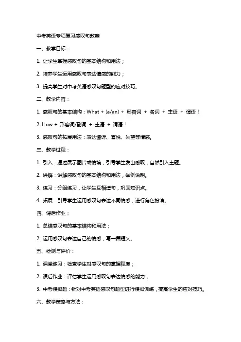 中考英语专项复习感叹句教案