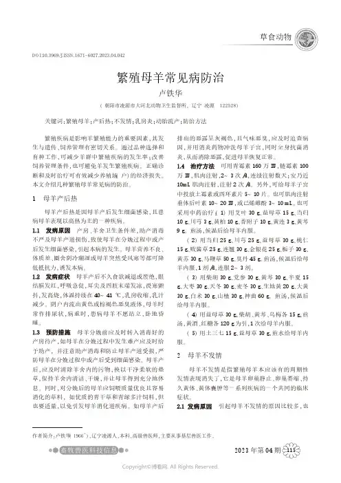 繁殖母羊常见病防治