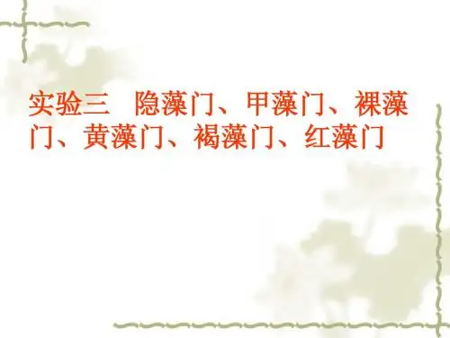 实验三隐藻门