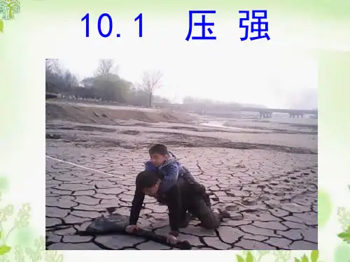 8年级物理苏科版下册课件《10.1 压强》(共23张PPT)