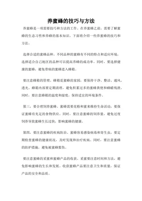 养蜜蜂的技巧与方法
