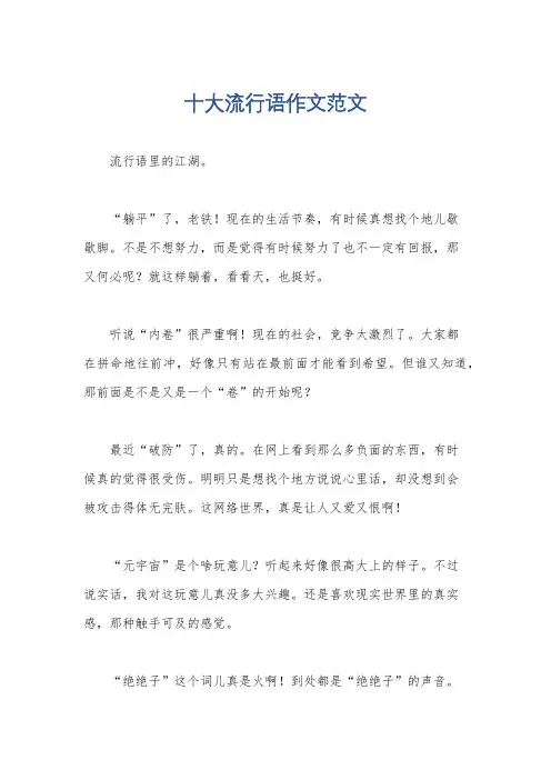 十大流行语作文范文