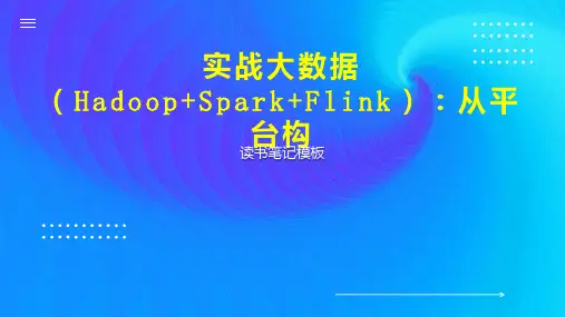 实战大数据(Hadoop Spark Flink)：从平台构