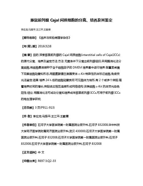 豚鼠前列腺Cajal间质细胞的分离、培养及其鉴定