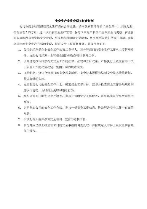 安全生产委员会副主任安全责任制