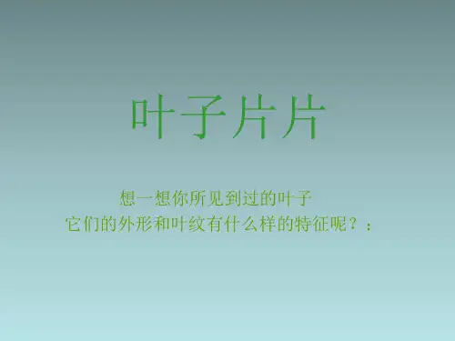(完整)一级下美术课件叶子片片苏少版精品PPT资料精品PPT资料