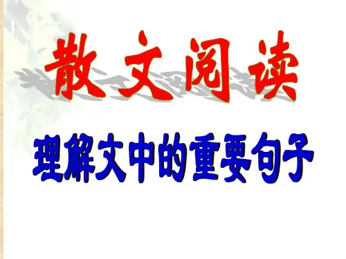 散文阅读之重要句子的含义
