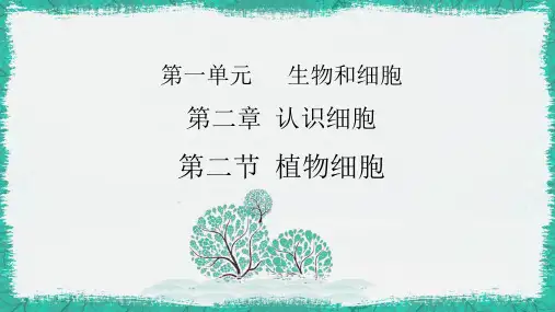 植物细胞 ppt课件