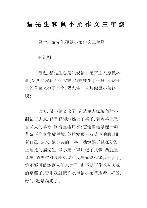 猫先生和鼠小弟作文三年级