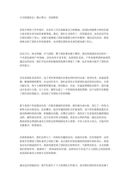 公司团建体会：凝心聚力,共创辉煌