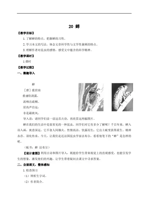 人教部编版八年级语文上册 第五单元20 蝉【名师教案+集体备课】