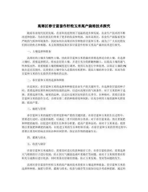 高寒区春甘蓝套作籽粒玉米高产栽培技术探究