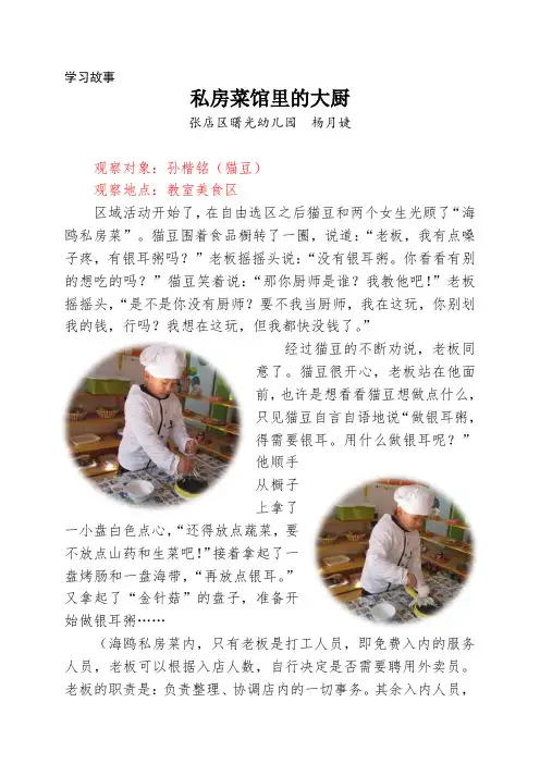 幼儿园观察记录案例学习故事：《私房菜馆的大厨》