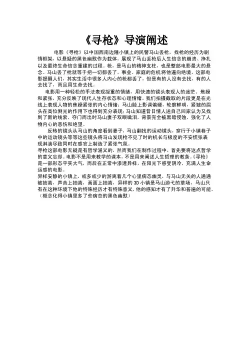 寻枪导演阐述