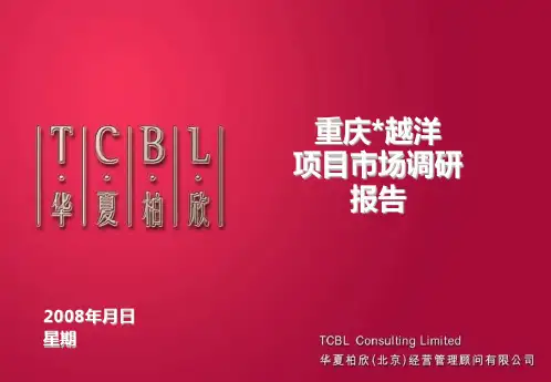 重庆市商圈调研
