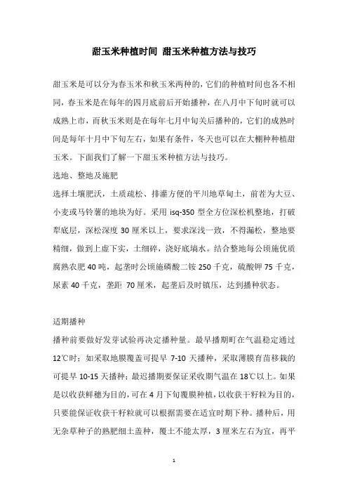 甜玉米种植时间 甜玉米种植方法与技巧