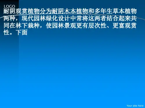 南方常用耐阴植物介绍