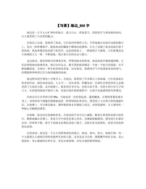 【写景】海边_800字