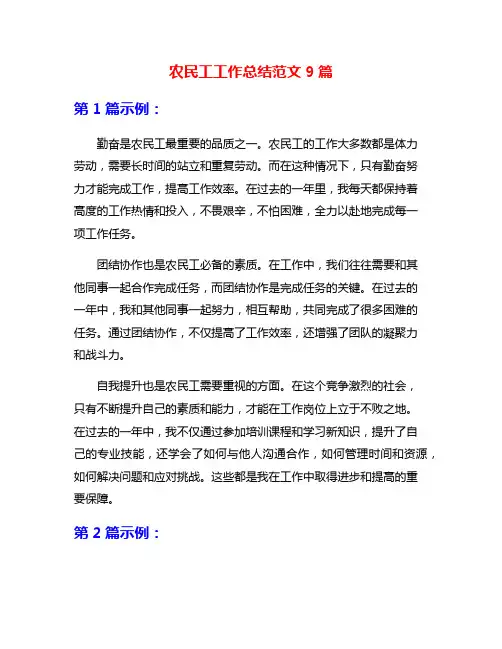 农民工工作总结范文9篇