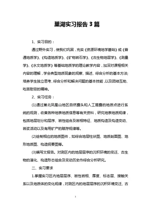 巢湖实习报告3篇