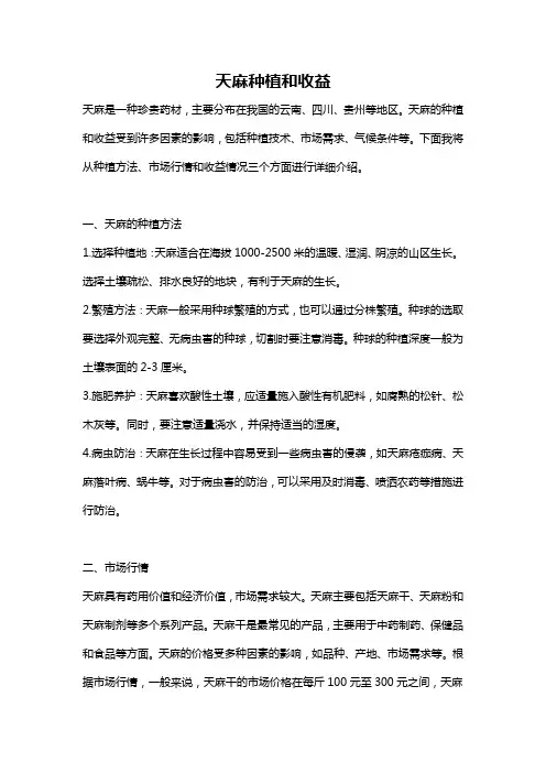 天麻种植和收益